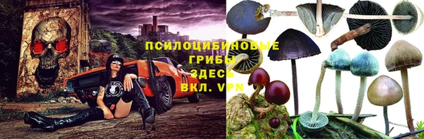 СК Волоколамск
