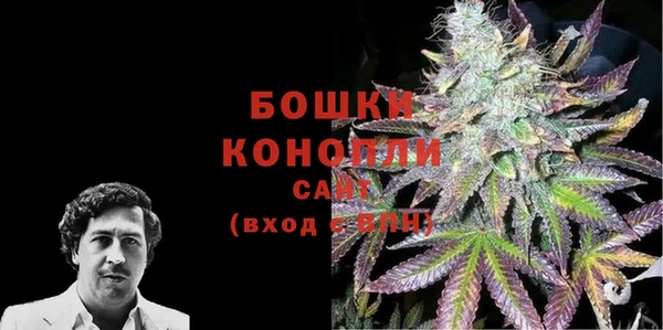 СК Волоколамск