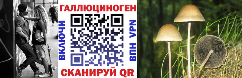 Купить где  Сим  Галлюциногенные грибы мицелий 